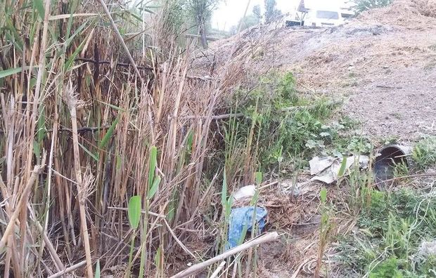 Zərdabda kollektora tullantı atan şəxslər cərimələniblər