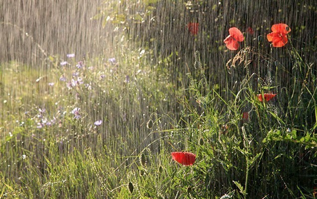 Şimşək çaxacaq, leysan yağacaq...