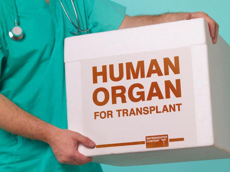 Azərbaycana xaricdən ölü donorun gətirilməsi mümkün olacaq