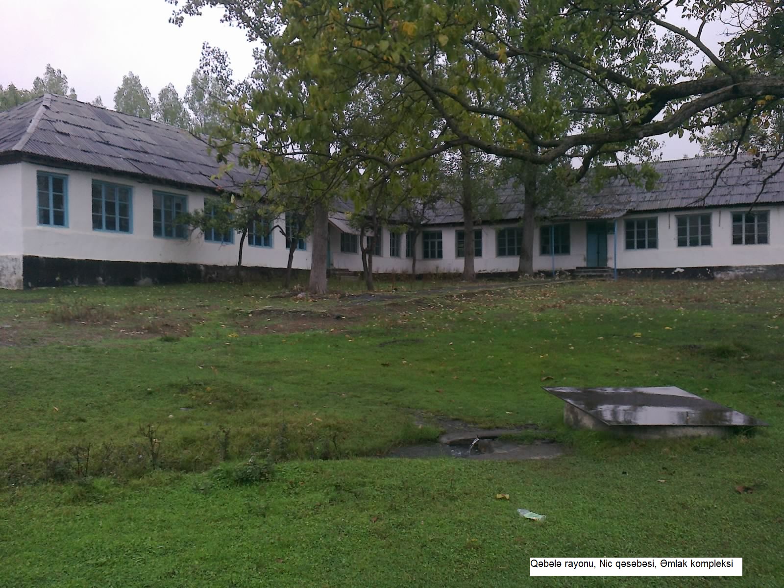 İyunun ilk hərracı da rəqabətli keçdi