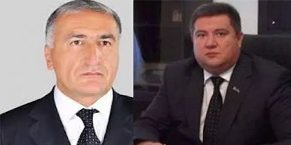 Lerikdən Leyla Əliyevaya müraciət: 