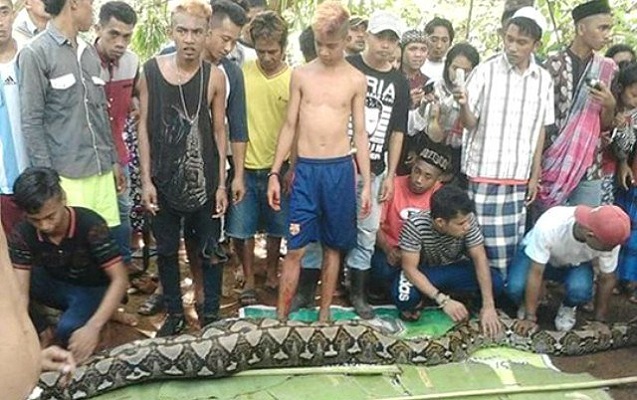 Qadın itkin düşdü, cəsədi ilanın qarnından tapıldı