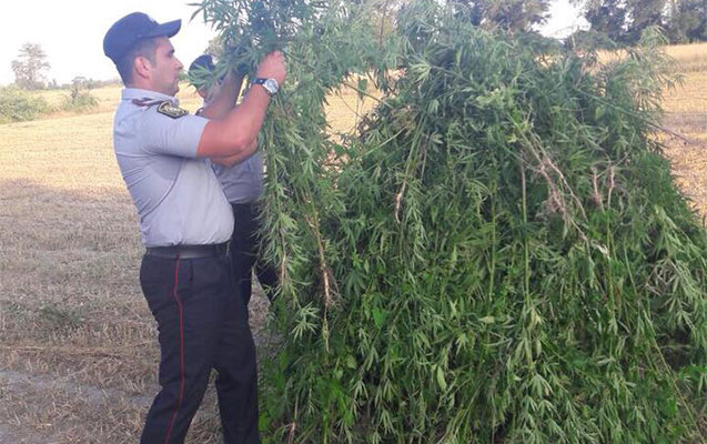 3 tona yaxın narkotik yandırıldı
