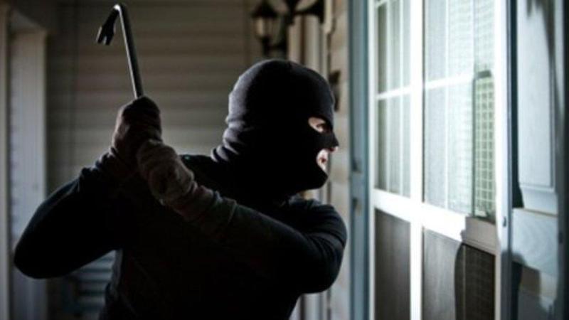 Kafedə oğurluq edən iki dost həbs edildi