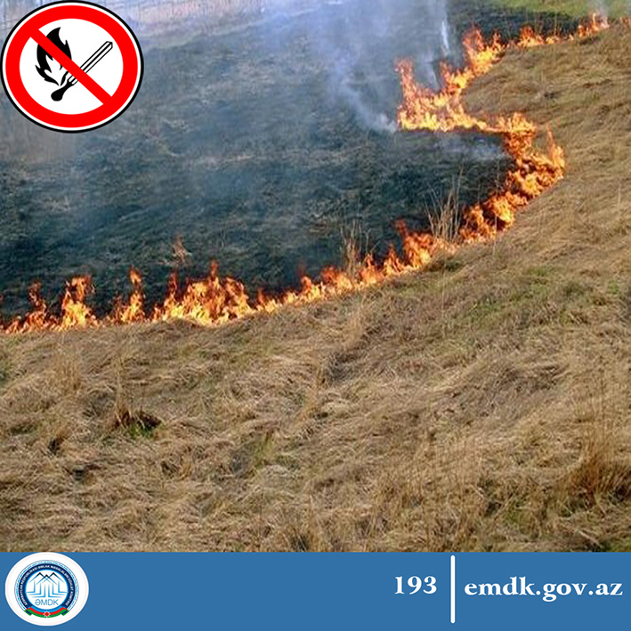 ƏMDK-dan xəbərdarlıq: Əkin sahələrini yandıranlar cərimə olunacaqlar