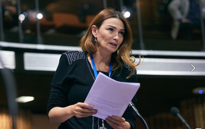 Qənirə Paşayeva AŞPA-da erməniləri biabır etdi