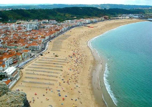 Çin sahillərində əcayib məxluq tapıldı - VİDEO