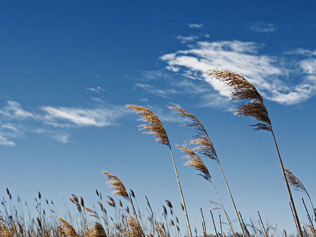 Sabah hava küləkli olacaq