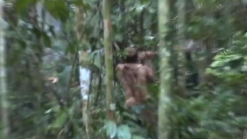 20 il sonra görüntüləndi: Meşədə yalnız və çılpaq - FOTOLAR