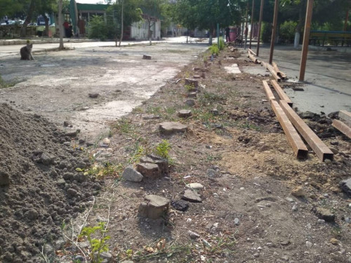 İcra başçısı daha bir yaşıllıq zolağını məhv etdirir - Mehriban Əliyevaya müraciət/ FOTOLAR