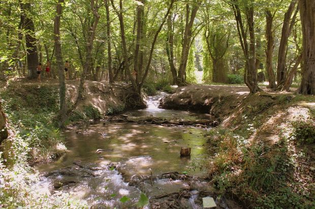 Nabranda üç yaşlı uşaq itkin düşüb - FOTO + YENİLƏNİB
