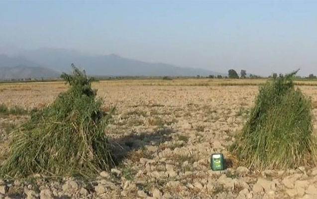 10 ton narkotik yandırıldı