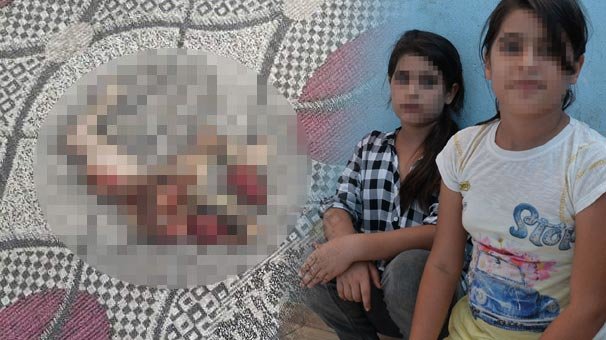 Nəvələrinin gözü qarşısında pişiyi parçalayıb 