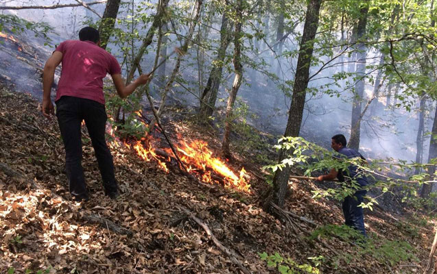 Altıağac hələ də yanır - Fotolar