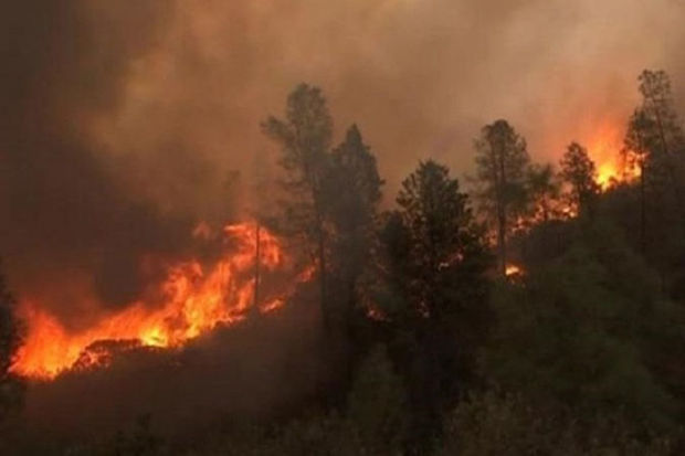Qubada meşə yanğınları söndürülüb - YENİLƏNİB