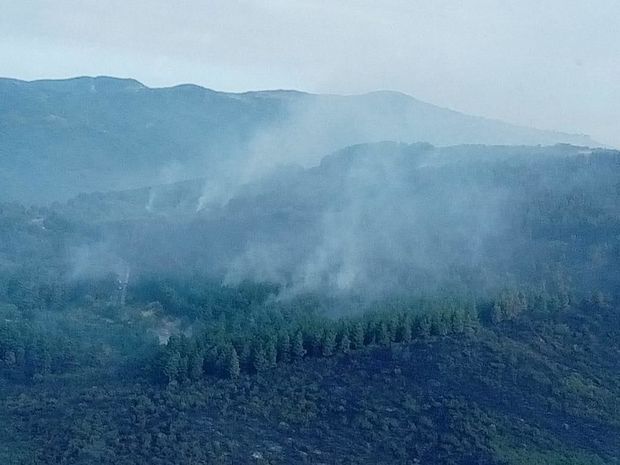 Ağsu və Şamaxıda meşə yanır - FOTO