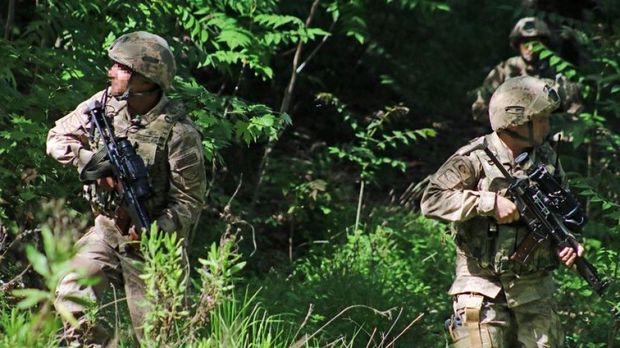 Türkiyədə 54 terrorçu zərəzsizləşdirildi