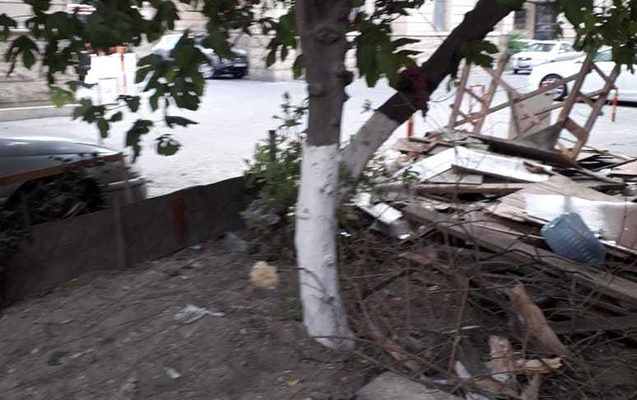 Nazirlik Bakıda ağac kəsən şəxsə 2200 manat cərimə yazdı