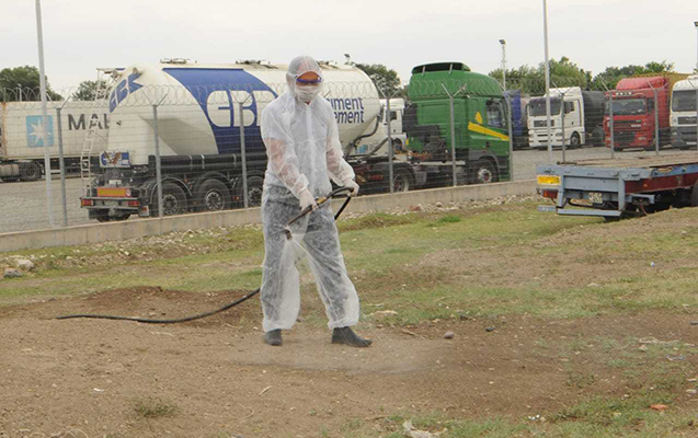 Sərhəd bölgələri xəstəliyə qarşı dezinfeksiya edilir