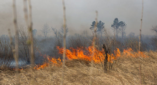 Yanğın hadisələrinə görə daha iki nəfər saxlanıldı