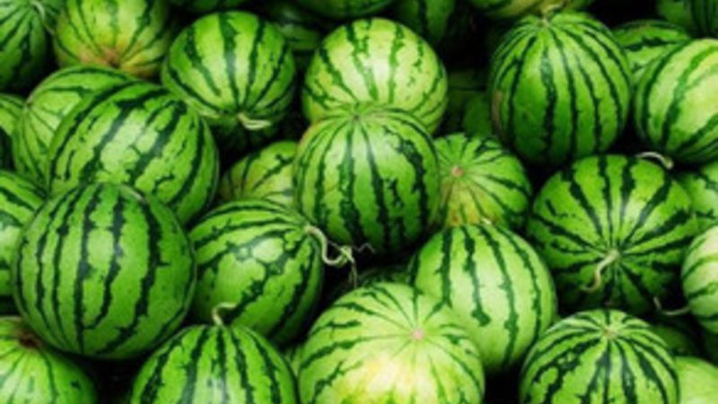 Neftçalada ana və qızı qarpızdan zəhərləndi