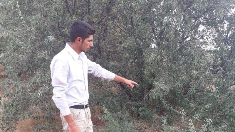 DSX əməliyyat kerçirdi: 3 kq tiryək tutuldu - FOTO