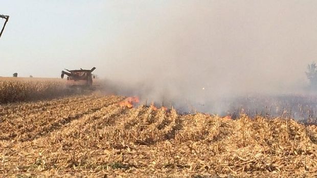 Beyləqan və Oğuzda biçilmiş taxıl sahələrini yandıranlar saxlanıldı