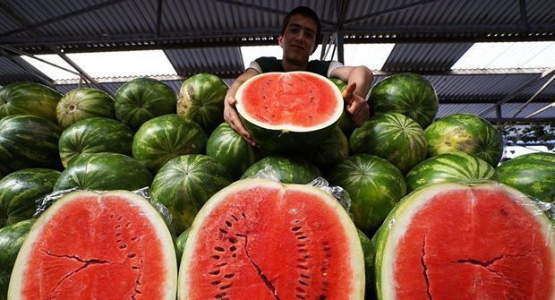 Ermənistanda Azərbaycanın qarpızlarından qorxdular