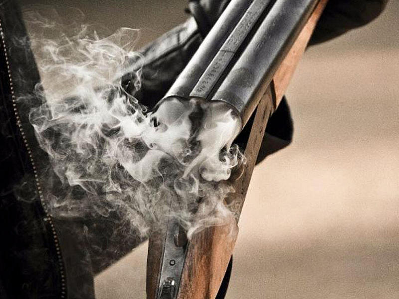 Gəncədə dəhşət: Kişi həyat yoldaşını və qayınatasını odlu silahla qətlə yetirdi