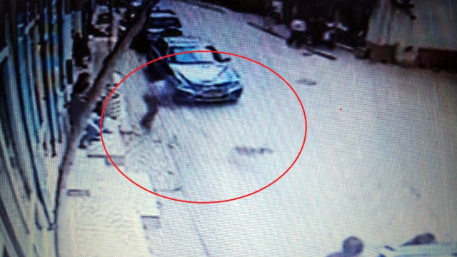 İnsanlığa sığmayan VƏHŞİLİK - İti ağacla döyüb... - FOTO