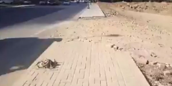 YASAMALDA SAKİNLƏRİN HƏYATI TƏHLÜKƏDƏ: