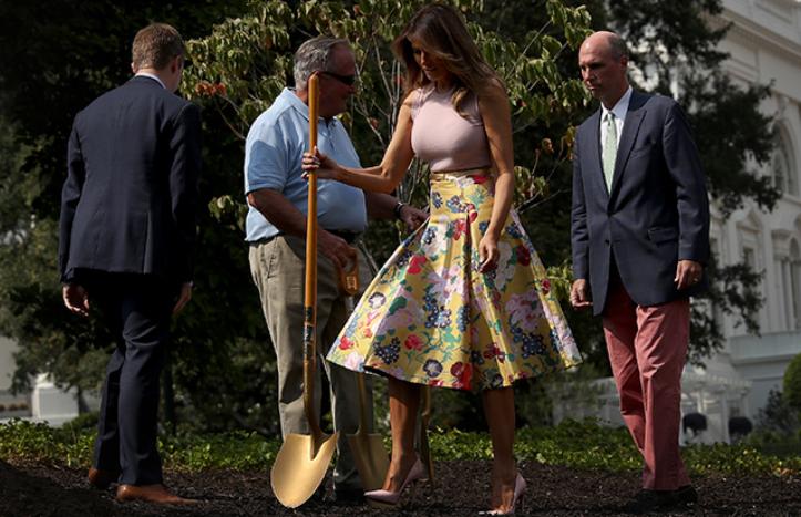 Tramp 4 minlik ətək və hündürdaban ayaqqabıda ağac əkdi - Fotolar