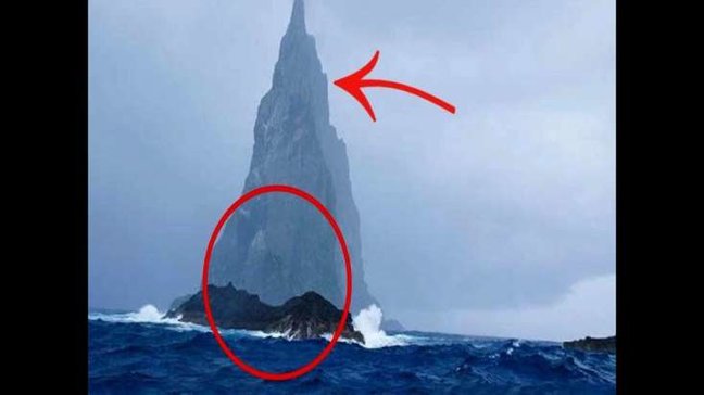 Bu adada dünyanın ən qəribə heyvanı yaşayır - NƏ OLDUĞUNA İNANMAYACAQSINIZ - VİDEO