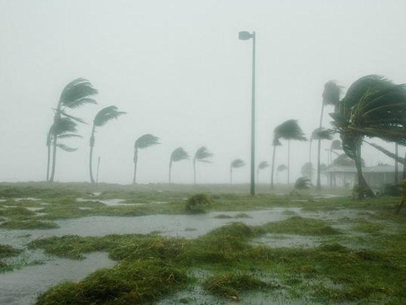 Yaponiyanı qorxuya salan 