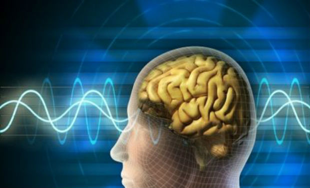 Yaddaşı gücləndirən qidalar: İki dilim ananas, bir ovuc yer fındığı…