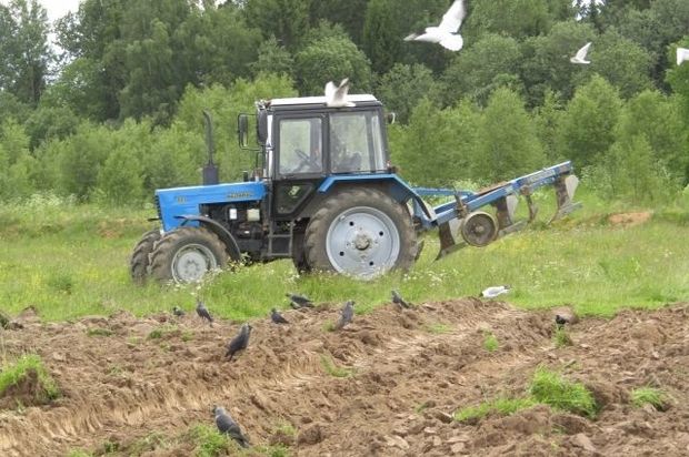 Azərbaycanlı gənc Türkiyədə faciəvi şəkildə öldü - FOTO
