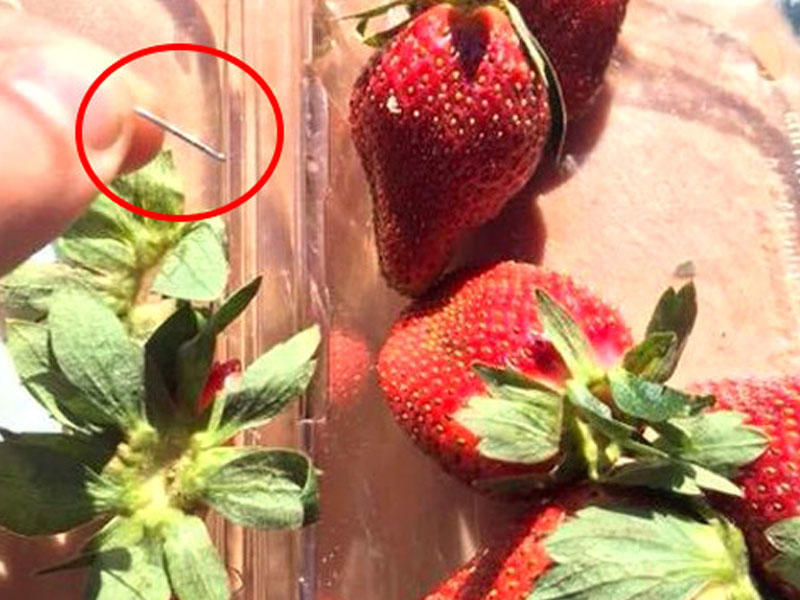 Çiyələklərdən iynə çıxır - Səhiyyə Nazirliyi KÖMƏK İSTƏDİ - VİDEO - FOTO