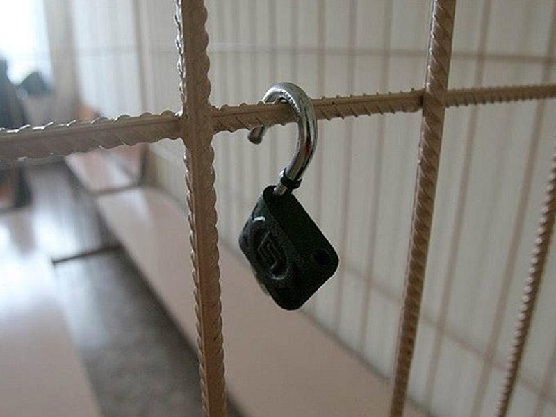 Baş həkimin müavininin qızını aldadan falçıların məhkəməsi başladı