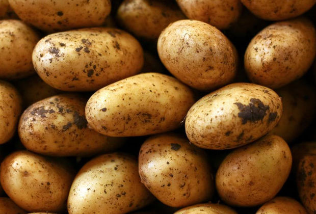 İrandan gətirilən 50 ton kartof Azərbaycana buraxılmadı - VİDEO