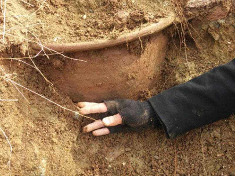 Eşidən inanmır - 44 il öncə ölən kişinin cəsədini mədəsindəki toxum ortaya çıxardı - VİDEO