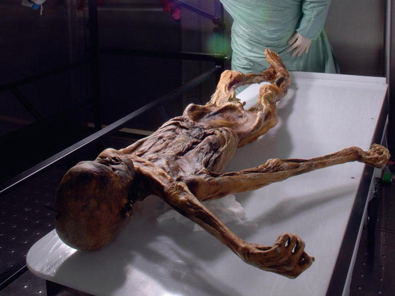 5300 illik mumiyadakı tatunun sirri açıldı - FOTO