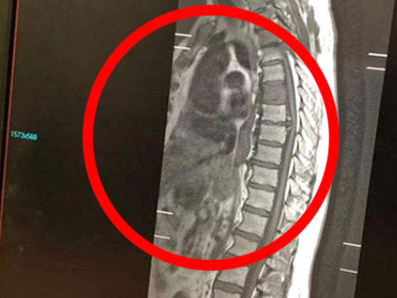 70 yaşlı kişinin içindən it 