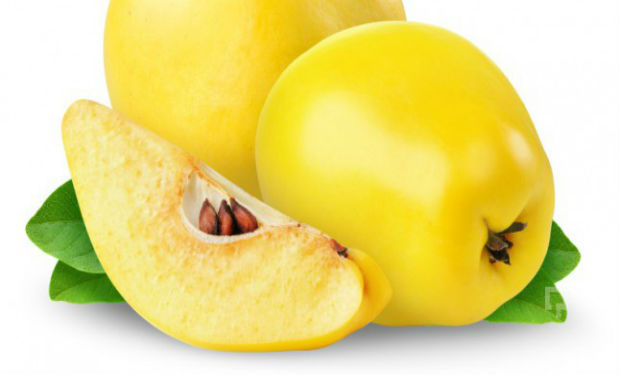 Ürəyin 1 nömrəli dostu: Heyvanın möcüzəvi faydaları