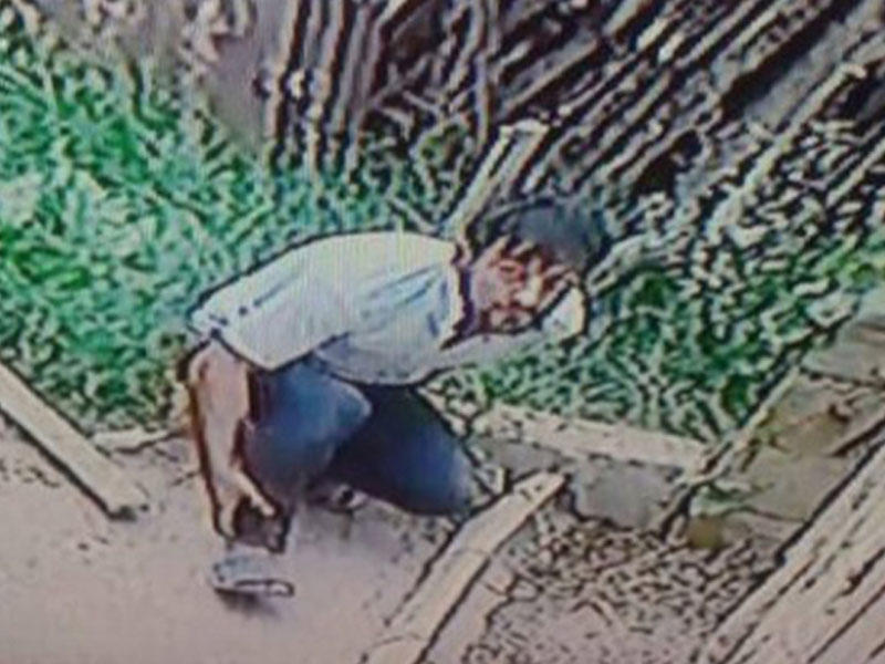 Sarayda oğru həyətə belə girdi - VİDEO