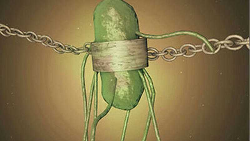 Yeni bakteriya növü tapıldı - Alternativ enerji mənbəyi kimi istifadə olunacaq