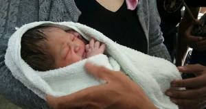 Ana yeni doğulan körpəsini 5-ci mərtəbədən atdı: uşağı ağac 