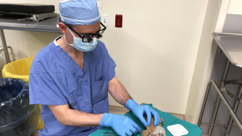 Kanadalı həkimdən maraqlı ƏMƏLİYYAT - Əvvəl ayını, sonra 8 yaşlı uşağı...