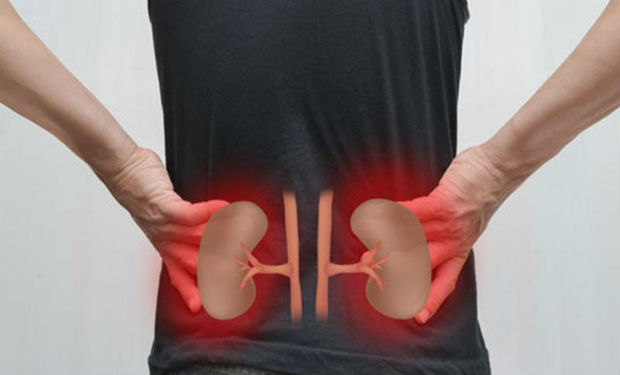 Faydalı məsləhətlər: Sabah və axşam 1 stəkan içmək böyrəkləri təmizləyir