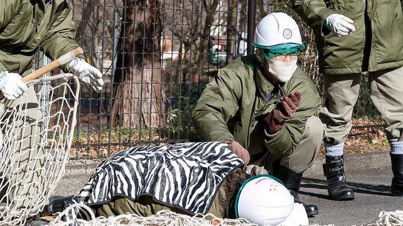 Zooparkda ÖLÜM HADİSƏSİ: Ağ pələng işçini parçaladı