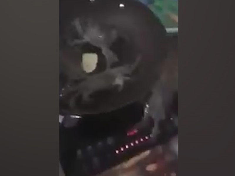 Xərçəng yanmasın deyə tavadan çıxıb, qazı söndürdü - VİDEO